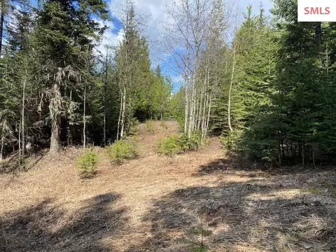 Upper Gold Cr., Sandpoint, ID 83864 photo 11