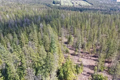 Upper Gold Cr., Sandpoint, ID 83864 photo 8