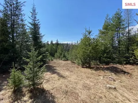 Upper Gold Cr., Sandpoint, ID 83864