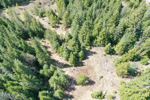 Upper Gold Cr., Sandpoint, ID 83864 photo 5