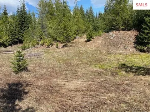Upper Gold Cr., Sandpoint, ID 83864 photo 19