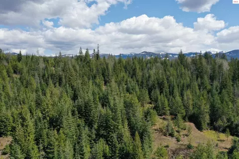 Upper Gold Cr., Sandpoint, ID 83864 photo 9