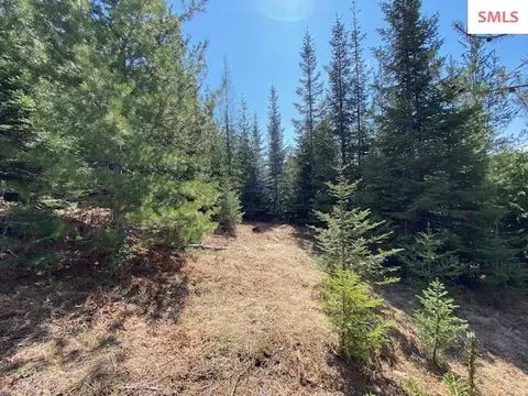Upper Gold Cr., Sandpoint, ID 83864 photo 28
