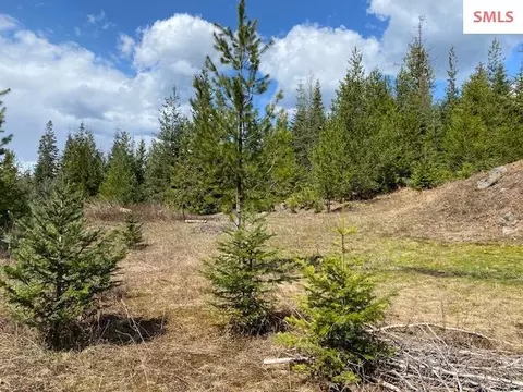 Upper Gold Cr., Sandpoint, ID 83864 photo 20
