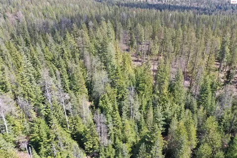Upper Gold Cr., Sandpoint, ID 83864 photo 7
