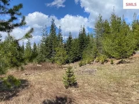 Upper Gold Cr., Sandpoint, ID 83864 photo 16