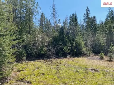 Upper Gold Cr., Sandpoint, ID 83864 photo 23