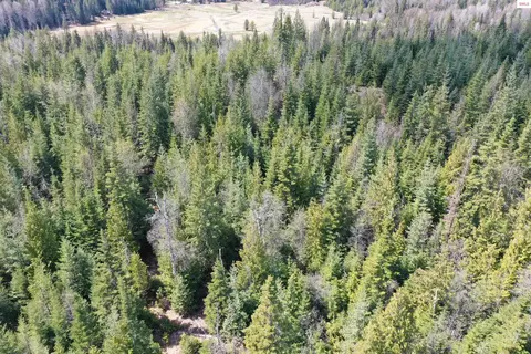 Upper Gold Cr., Sandpoint, ID 83864 photo 6