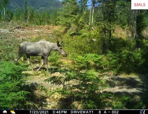 Other - 439 Usfs 2295a, Clark Fork, ID 83811 photo 20 of 32