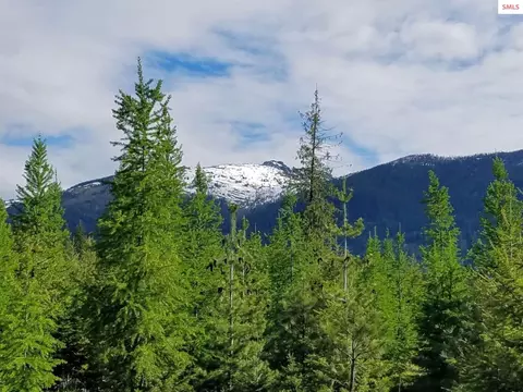 Other - 439 Usfs 2295a, Clark Fork, ID 83811 photo 4 of 32
