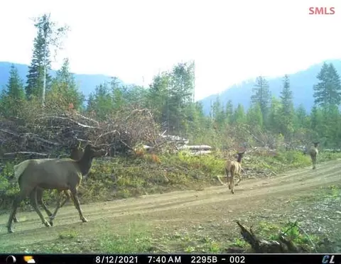 Other - 439 Usfs 2295a, Clark Fork, ID 83811 photo 24 of 32
