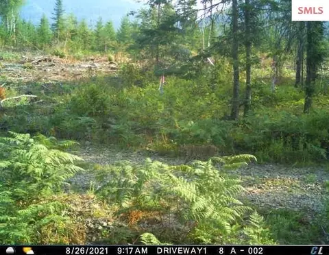 Other - 439 Usfs 2295a, Clark Fork, ID 83811 photo 25 of 32