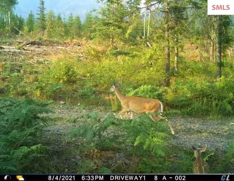 Other - 439 Usfs 2295a, Clark Fork, ID 83811 photo 22 of 32