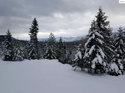 Other - 439 Usfs 2295a, Clark Fork, ID 83811 photo 2 of 32