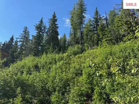 Nna Avalanche, Sandpoint, ID 83864 photo 4
