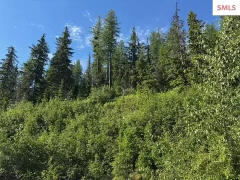 Nna Avalanche, Sandpoint, ID 83864 photo 5