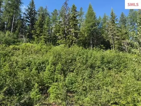 Nna Avalanche, Sandpoint, ID 83864 photo 3