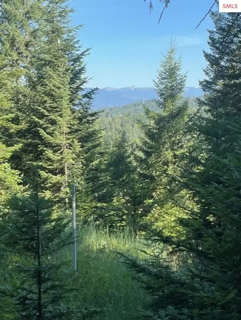 Nna C35 White Cloud Drive, Sandpoint, ID 83864