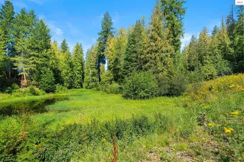 4 E Nn E Bottle Bay Rd, Sagle, ID 83860 photo 18