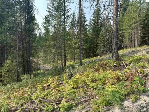 Nna Peninsula Loop, Priest River, ID 83856