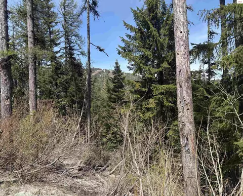 9 Parallel Run, Sandpoint, ID 83864