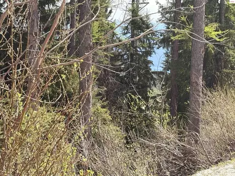 9 Parallel Run, Sandpoint, ID 83864 photo 5