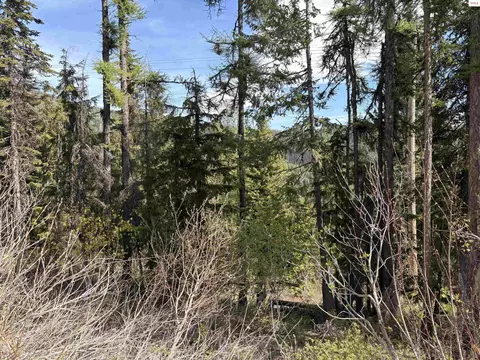10 Parallel Run, Sandpoint, ID 83864 photo 4