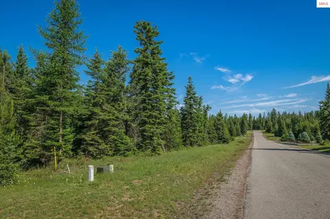 lot10 E Riley Loop, Athol, ID 83801