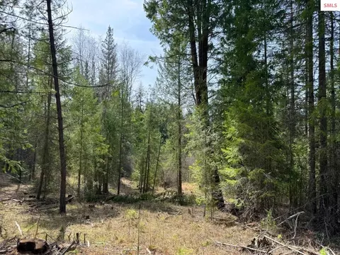 Nna Wrenco Loop, Sandpoint, ID 83864 photo 8