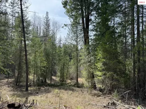 Nna Wrenco Loop, Sandpoint, ID 83864 photo 20
