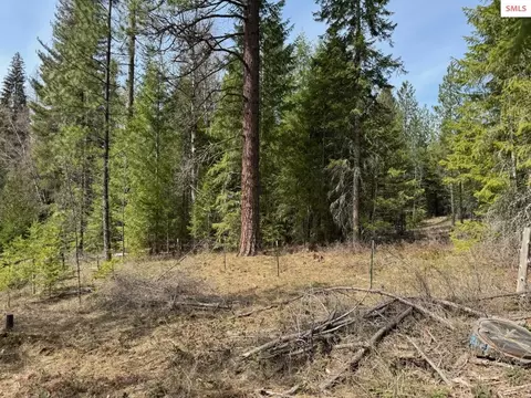 Nna Wrenco Loop, Sandpoint, ID 83864 photo 14