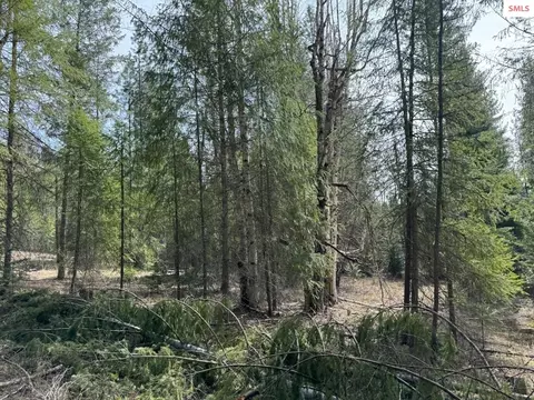 Nna Wrenco Loop, Sandpoint, ID 83864 photo 18