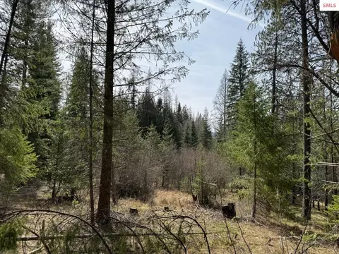 Nna Wrenco Loop, Sandpoint, ID 83864 photo 16
