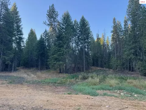 Nna Wrenco Loop, Sandpoint, ID 83864 photo 16