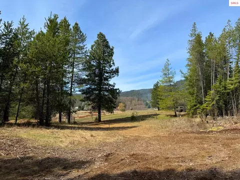 Nna Wrenco Loop, Sandpoint, ID 83864