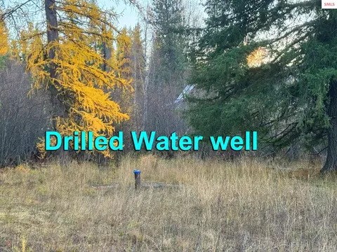 Nna Wrenco Loop, Sandpoint, ID 83864 photo 3
