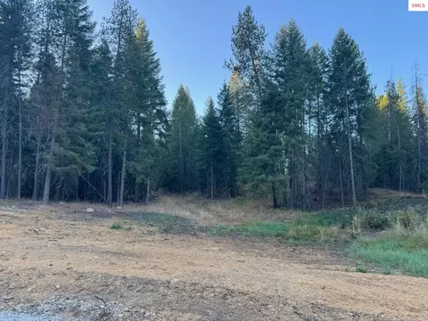 Nna Wrenco Loop, Sandpoint, ID 83864 photo 17