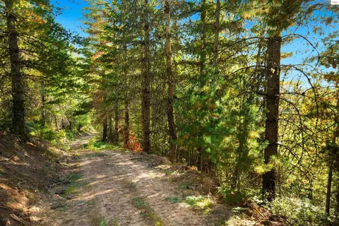 51833 Silver Valley Rd, Kellogg, ID 83837 photo 10