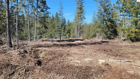 lot2 Pioneer Ests N, Priest River, ID 83856
