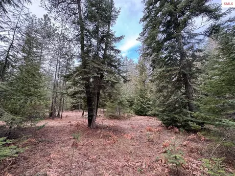 2030 Talache Rd, Sagle, ID 83860 photo 39