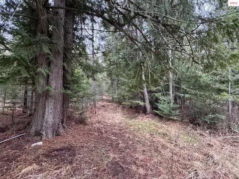 2030 Talache Rd, Sagle, ID 83860 photo 54