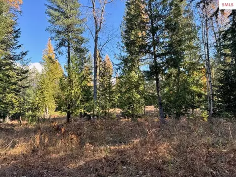 Nna Selkirk Rd, Sandpoint, ID 83864