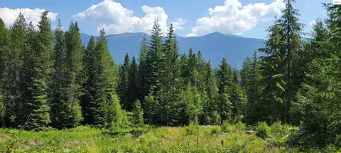 Nna Enchanted Lane - #3, Bonners Ferry, ID 83805