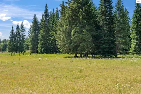 4719 Selle Rd, Sandpoint, ID 83864 photo 90