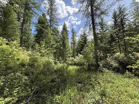Nna No End Rd., Cocolalla, ID 83813