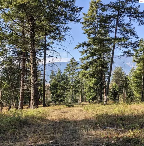 Nka 10 Ac New Chisholm Way, Bonners Ferry, ID 83805