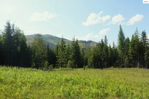 Nka Slippery Slope Trail, Priest River, ID 83856