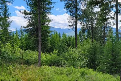 Nna Bootlegger Lane-parcel 1, Bonners Ferry, ID 83805