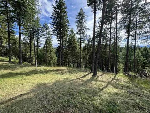 3 Wildflower Way, Sandpoint, ID 83864
