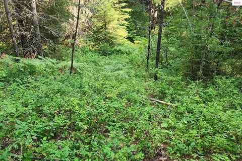 Nna Reeder Bay Rd, Nordman, ID 83848